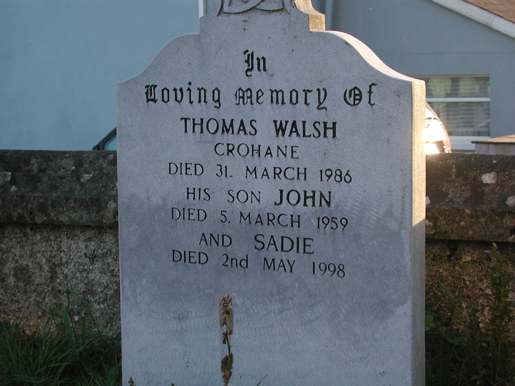 Walsh, Thomas, John and Sadie, Ahiohill cemetery.jpg 404.2K